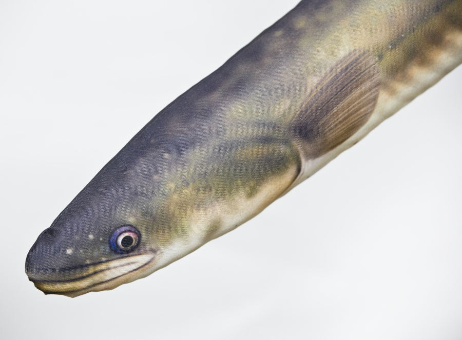 Coussin Anguille GABY